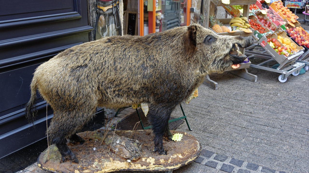 20150702 017  Beaune, Burgundy, France